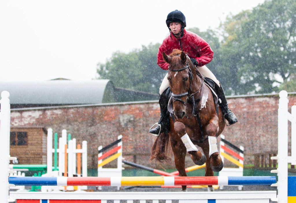 Bedgebury Equestrian Centre Arenas for hire in Kent.