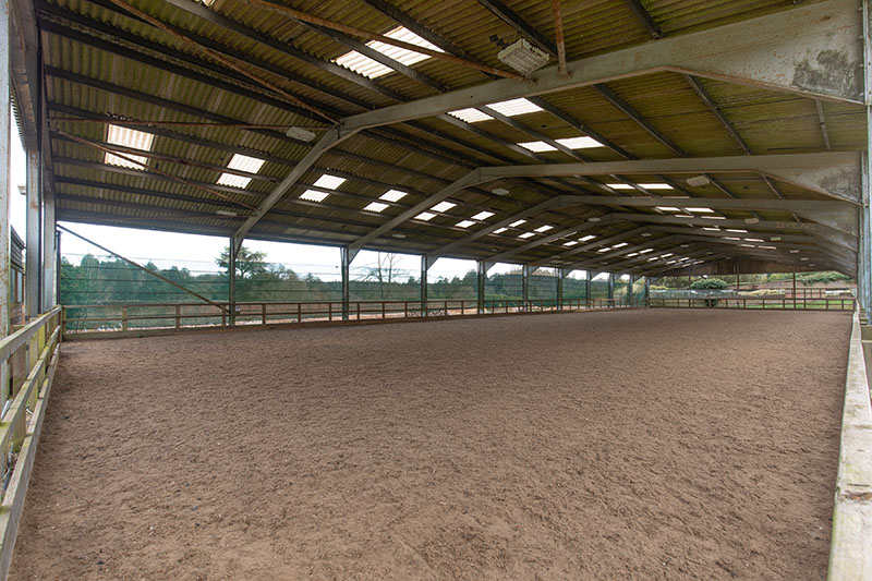 Maple Leaf, one two horse riding arenas for hire at Bedgebury Equestrian Centre.