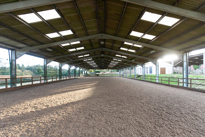 Maple Leaf, one two horse riding arenas for hire at Bedgebury Equestrian Centre.